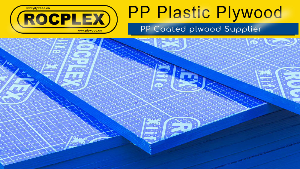 PP Faced Plywood