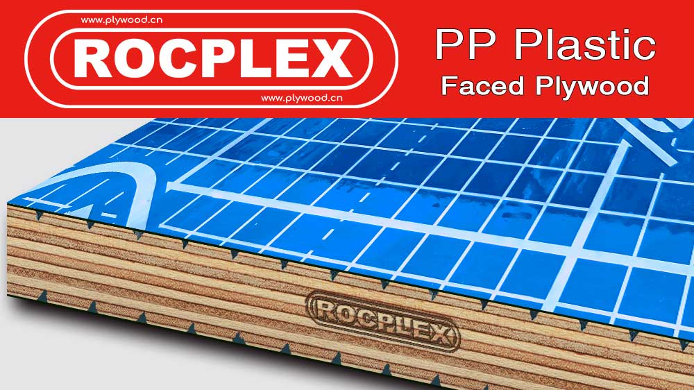 PP plywood