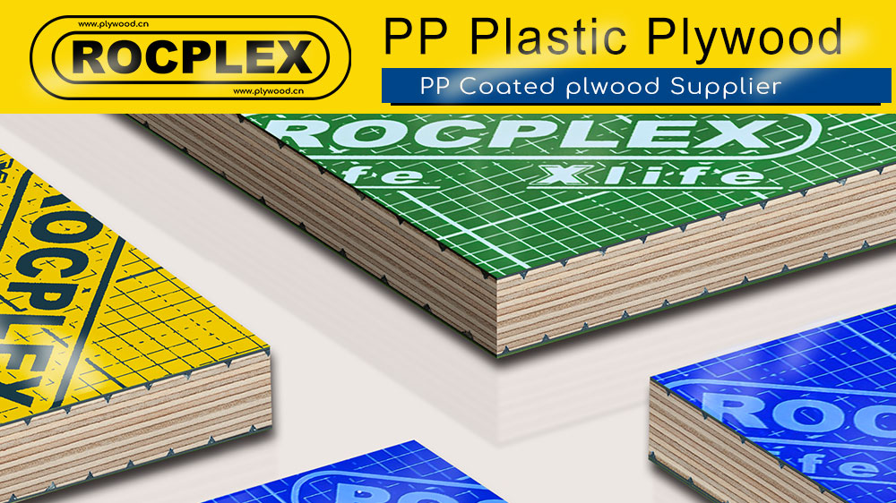 PP Plastic Faced Plywood Price