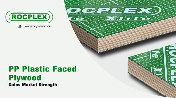 PP Plastic Faced Plywood Gains Market Strength