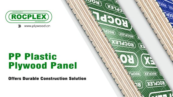 PP Plastic Plywood Panel Offers Durable Construction Solution
