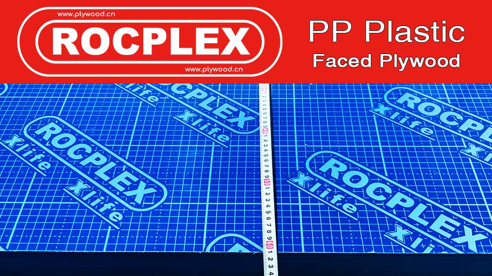PP Plastic Plywood Supplier,