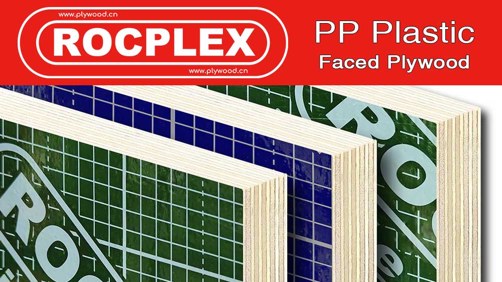 PP Plastic Faced Plywood Supplier