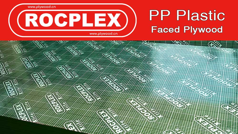 PP Plastic Plywood Panel Offers Durable Construction Solution