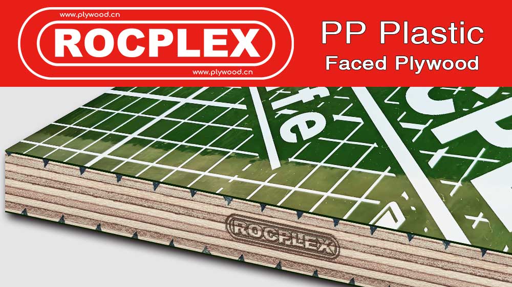PP Plastic Plywood Panel Offers Durable Construction Solution