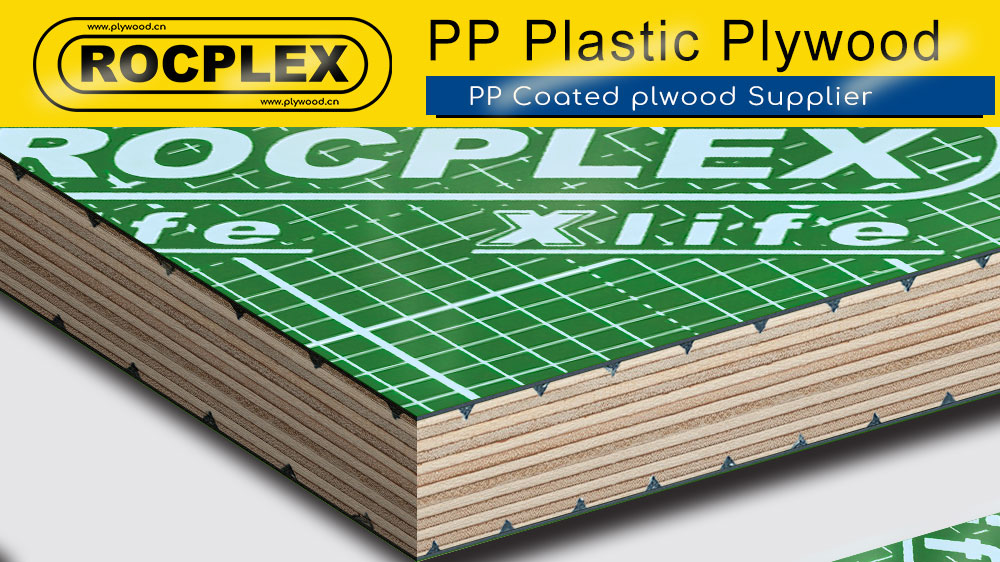 PP Plastic Faced Plywood Gains Market Strength